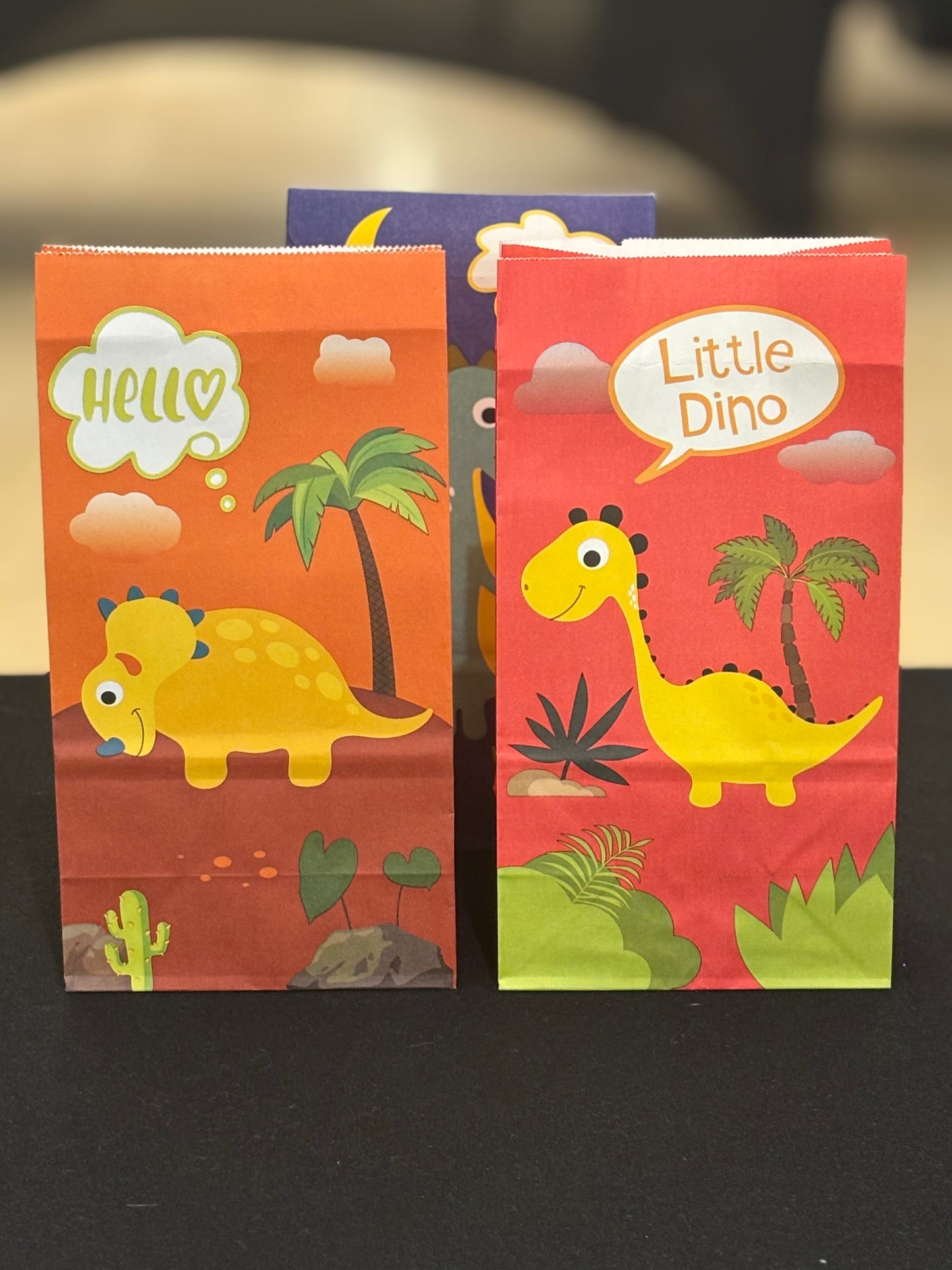 Dinosaur Mystery Bag ￼